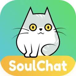 سول شات